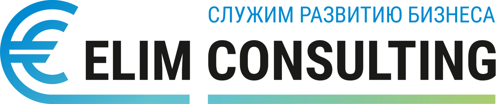 ТОО «Elim Consulting»